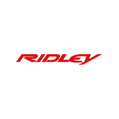 Pegatinas logo bici Ridley