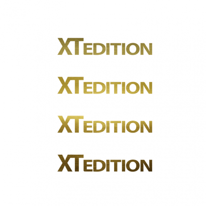Pegatinas logo bici XT Edition